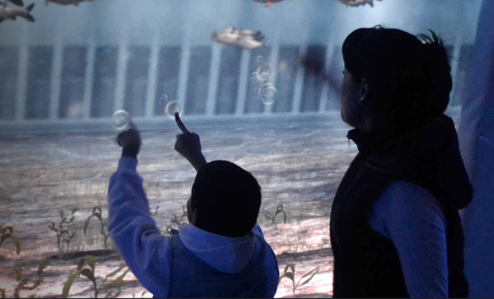Acuario Virtual Yacyretá